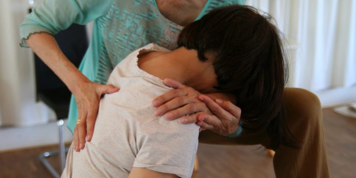 Feldenkrais Ausbildung, Funktionale Integration